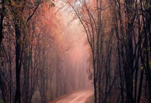 斯洛文尼亚主场力克以色列，普科夫射门建功