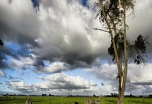 那不勒斯再度落败，阵容变动备受质疑