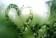 那不勒斯再度落败，阵容变动备受质疑