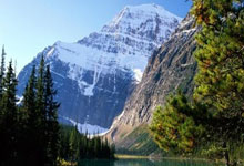 射箭比赛惊现黑马，巴西选手力克对手夺冠