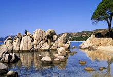 里昂客场负于雷恩，遭遇失利