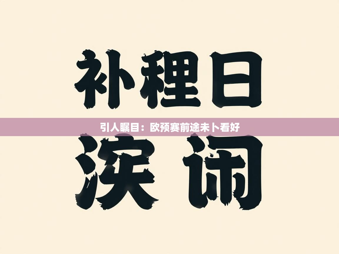 引人瞩目：欧预赛前途未卜看好  第2张